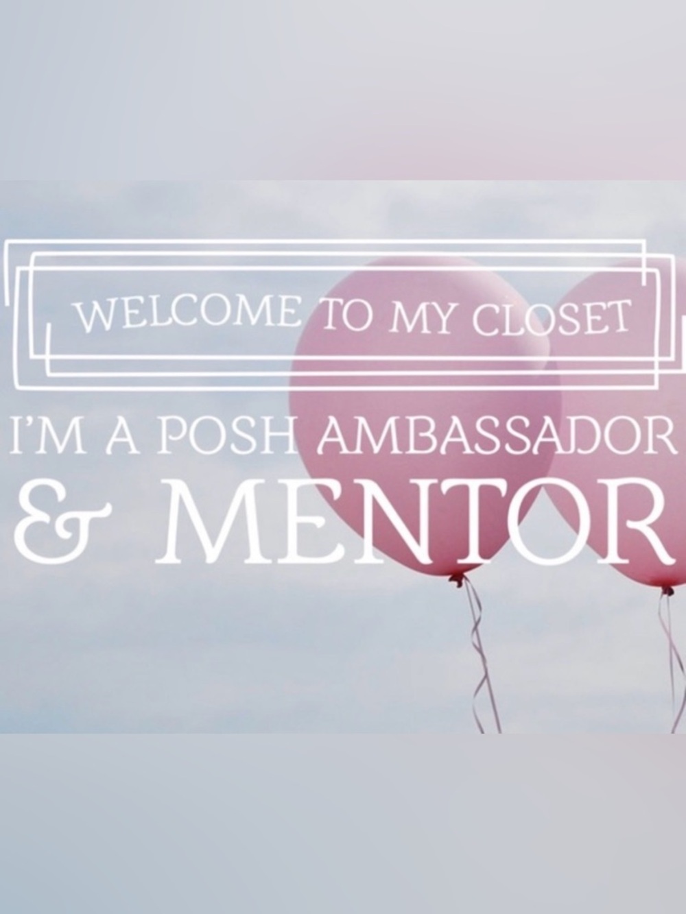Poshmark Mentor 🤓